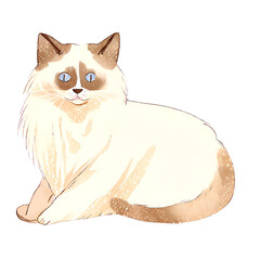 Obraz premium Watercolor Fluffy Cat Clipart