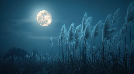 Fototapeta premium Full moon and Japanese pampas grass in midnight,The harvest Miscanthus sinensis and full moon,beautiful night sky in the countryside with the perfect moon exudes beauty in the dark.