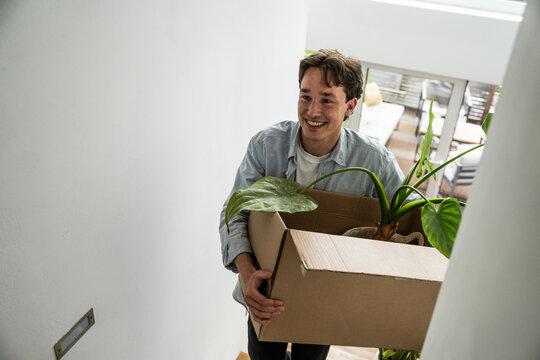 Smiling man carrying cardboard box with houseplant near wall at new apartment