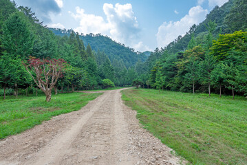 온빛자연휴양림의 진출입로 풍경(입구쪽에서 본 풍경)-Entrance road view of Onbit Natural Recreation Forest, Nonsan, Chungcheongnam-do, South Korea