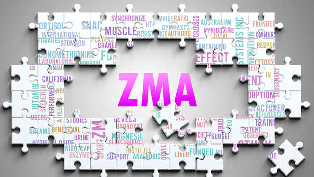 Zma as a complex subject, related to important topics. Pictured as a puzzle and a word cloud made of most important ideas and phrases related to zma. ,3d illustration
