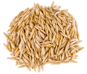 Pile oat grain seeds isolated on a transparent background. Full depth of field. Top view.