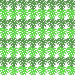 MONSTERA SUMMER DESIGN PATTERN TEXTURE BACKGROUND VECTOR