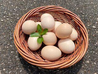 eggs in a basket