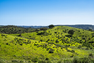 Walking from Troviscais to the River Mira, Vicentine Coast Natural Park Portugal, Rota Vicentina Coast.