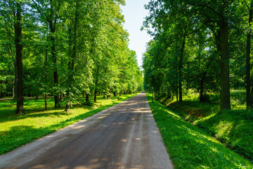 A dirt path through a park with lush green trees during the daytime in summer.