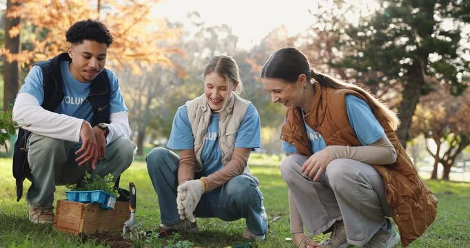 Environment, volunteer and people with high five in nature for community, support and gardening success. Happy, team and project with celebration on grass for NGO, sustainability and future growth