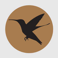 colibri icon, colibri shillue, vector colibri