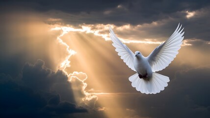 Naklejka premium Dove of Peace Soaring in Radiant Golden Light: A Pure White Dove Mid-Flight Against Dramatic Dark Clouds, Symbolizing the Holy Spirit, Spiritual Purity, and Divine Inspiration in a Warm, Heavenly Glow