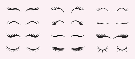 Eye lash vector