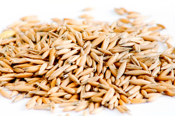 Oats, whole groats seeds close up