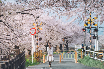旅立ちの朝