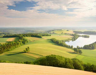 Naklejka premium Top view of agricultural area with lake and green wavy fields
