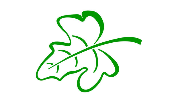 Abstract shape, icon, graphic design, Green leaf logo on white background. 