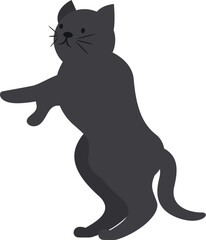 Playful black cat standing on hind legs