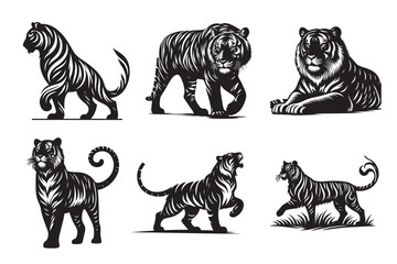 Obraz premium silhouette of tiger