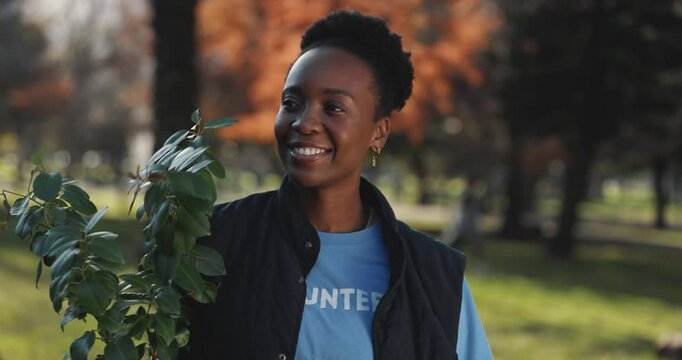Volunteer, happy and black woman with plant in nature for eco friendly, environment or gardening. Sustainability, project and person with leaves in park for NGO outreach, ecology or community service