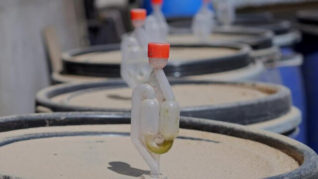 Water seal valve, beer, wine and coffee making.. High quality 4k footage