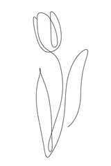 Tulip flower stylized oneline art hand drawing illustration vector graphic for print and business isolated on white background