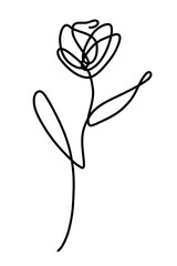 Rose drawing stylized oneline illustration art vector graphic for print and business