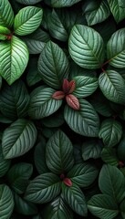 Naklejka premium Colorful leaves