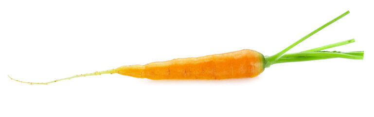 Bunch of baby carrots vegetable isolated over white background.