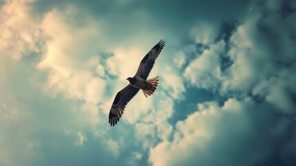 Hawk Soaring Through Clouds