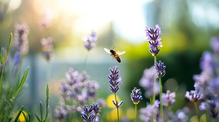  A bee atop a purple flower amidst a field,.Bordered by more purple blooms, and a tree,.Green with leafy splendor, standing behind