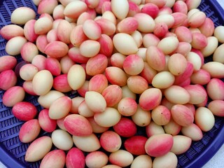 Carissa carandas fruits 