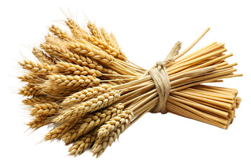 Bundled wheat stalks isolated on transparent background