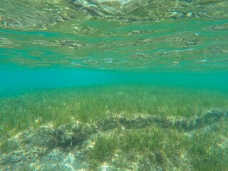 Mediterranean Sea underwater at daylight