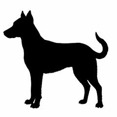 Dog Breeds Silhouette Svg Bundle, Dog Breed Svg,