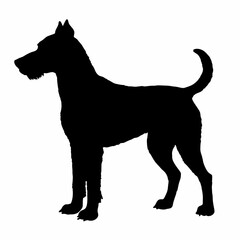 Dog Breeds Silhouette Svg Bundle, Dog Breed Svg,,Dog Silhouette Bundle, Dogs Mega Silhouette Bundle, Dogs Silhouette SVG Png, Dog Silhouette, Dog Breed Silhouette