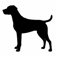 Dog Breeds Silhouette Svg Bundle, Dog Breed Svg,