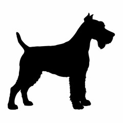 Dog Breeds Silhouette Svg Bundle, Dog Breed Svg,,Dog Silhouette Bundle, Dogs Mega Silhouette Bundle, Dogs Silhouette SVG Png, Dog Silhouette, Dog Breed Silhouette
