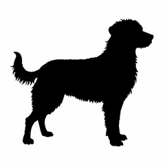 Obraz premium Dog Breeds Silhouette Svg Bundle, Dog Breed Svg,