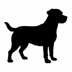 Dog Breeds Silhouette Svg Bundle, Dog Breed Svg,,Dog Silhouette Bundle, Dogs Mega Silhouette Bundle, Dogs Silhouette SVG Png, Dog Silhouette, Dog Breed Silhouette