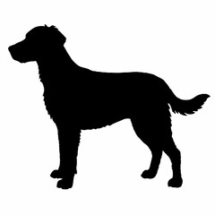 Dog Breeds Silhouette Svg Bundle, Dog Breed Svg,