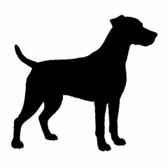 Dog Breeds Silhouette Svg Bundle, Dog Breed Svg,,Dog Silhouette Bundle, Dogs Mega Silhouette Bundle, Dogs Silhouette SVG Png, Dog Silhouette, Dog Breed Silhouette