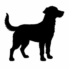 Obraz premium Dog Breeds Silhouette Svg Bundle, Dog Breed Svg,