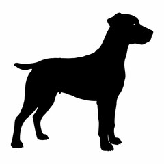 Dog Breeds Silhouette Svg Bundle, Dog Breed Svg,