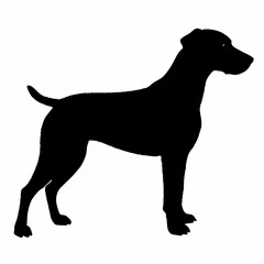 Dog Breeds Silhouette Svg Bundle, Dog Breed Svg,,Dog Silhouette Bundle, Dogs Mega Silhouette Bundle, Dogs Silhouette SVG Png, Dog Silhouette, Dog Breed Silhouette