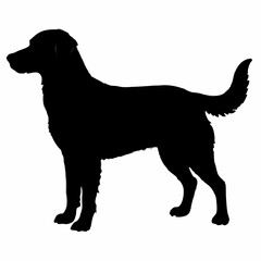 Dog Breeds Silhouette Svg Bundle, Dog Breed Svg,,Dog Silhouette Bundle, Dogs Mega Silhouette Bundle, Dogs Silhouette SVG Png, Dog Silhouette, Dog Breed Silhouette