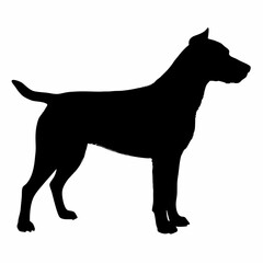 Dog Breeds Silhouette Svg Bundle, Dog Breed Svg,,Dog Silhouette Bundle, Dogs Mega Silhouette Bundle, Dogs Silhouette SVG Png, Dog Silhouette, Dog Breed Silhouette