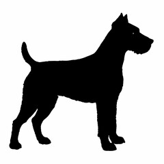 Dog Breeds Silhouette Svg Bundle, Dog Breed Svg,