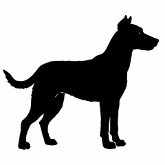 Dog Breeds Silhouette Svg Bundle, Dog Breed Svg,,Dog Silhouette Bundle, Dogs Mega Silhouette Bundle, Dogs Silhouette SVG Png, Dog Silhouette, Dog Breed Silhouette