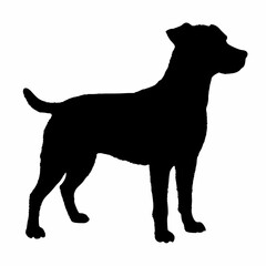 Dog Breeds Silhouette Svg Bundle, Dog Breed Svg,