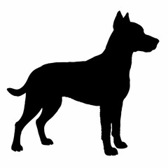 Dog Breeds Silhouette Svg Bundle, Dog Breed Svg,