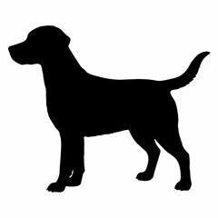 Dog Breeds Silhouette Svg Bundle, Dog Breed Svg,