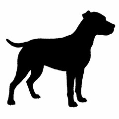 Dog Breeds Silhouette Svg Bundle, Dog Breed Svg,